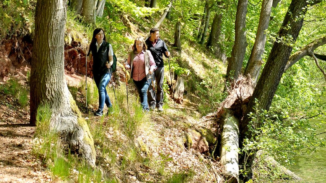 Wandern um die Bernshäuser Kutte Wandern um die Bernshäuser Kutte